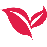 Z-Image Turbo: Fastest and Free Image Generator ComfyUI Local Install (On par with Flux.2)
